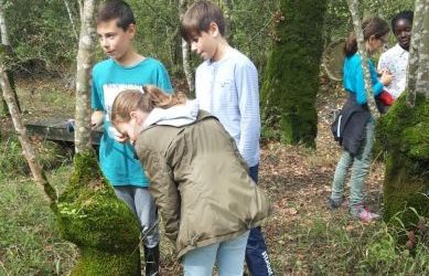 Sortie des 6F pour leur projet « 4 éléments 5 sens » à la Réserve Biologique de Nalliers- Mouzeuil.