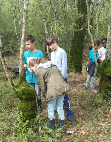 Sortie des 6F pour leur projet « 4 éléments 5 sens » à la Réserve Biologique de Nalliers- Mouzeuil.